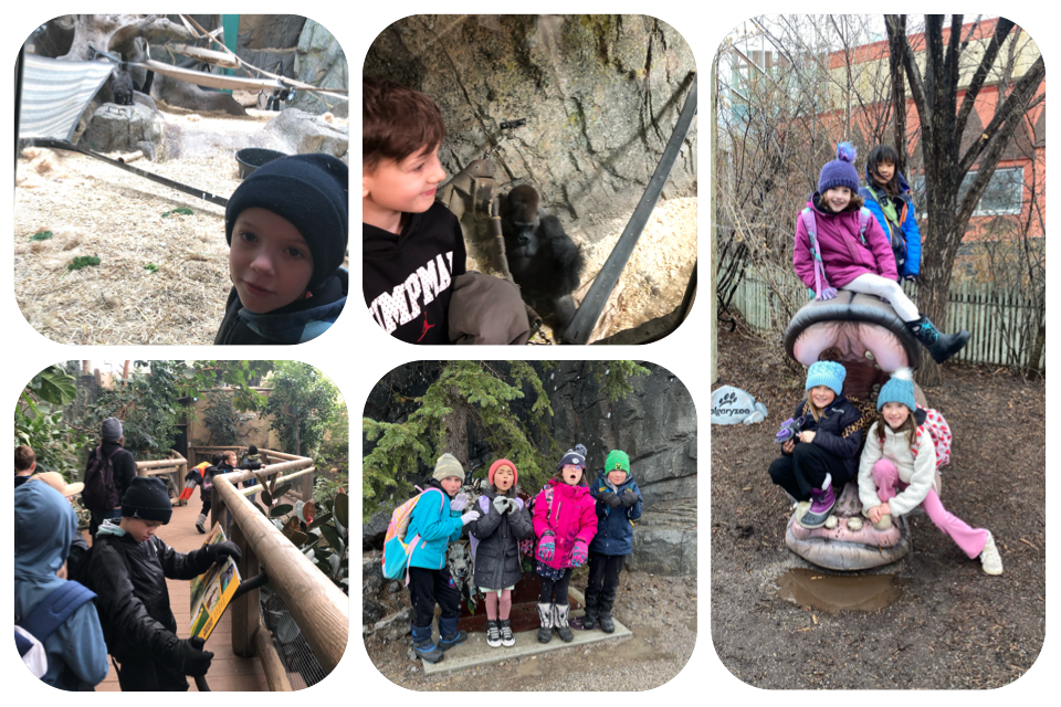 51171DCB 201D 41B6 8411 B3F8731C5CF8