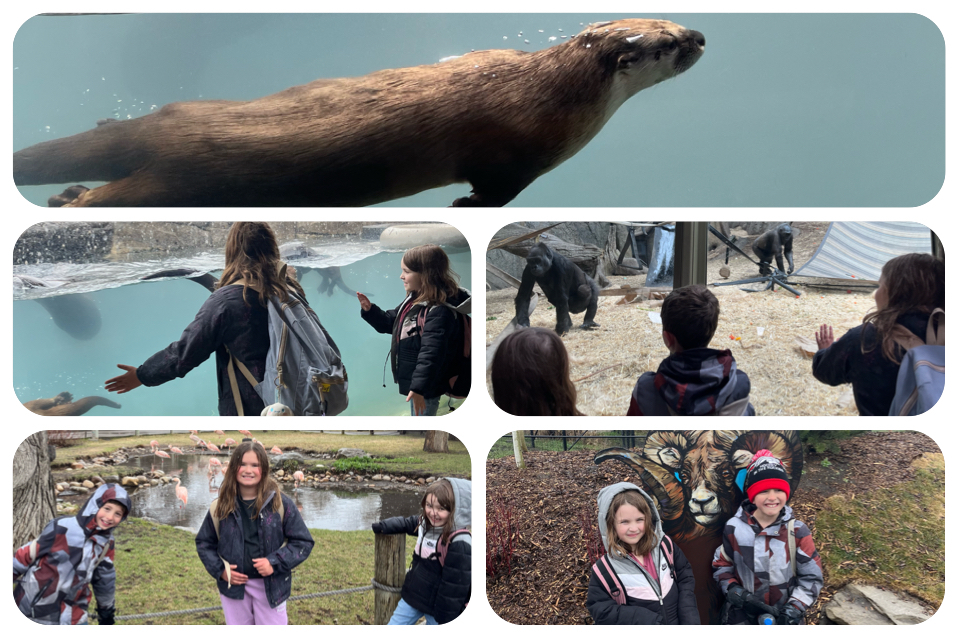 86065DC4 82D1 4AD0 8651 884CA36C9D4D