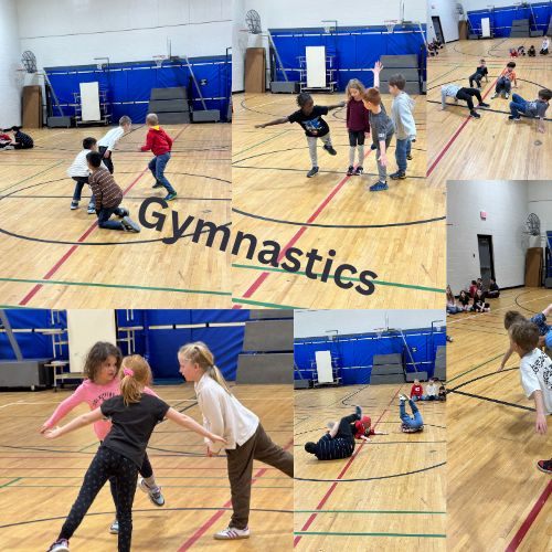 Gymnastics Gr 2