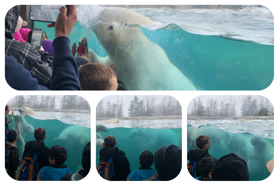 DFFF5766 BD1C 4322 8AFA F2729E8ADCC6