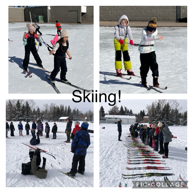 thumbnail activitymore 74247EA1 AEEF 4027 A59C 83B8172EA248